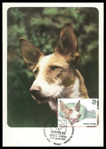 SPAIN MK HUNDE IBIZA-JAGDHUND DOGS MAXIMUMKARTE CARTE MAXIMUM CARD MC CM m748 - Picture 1 of 2