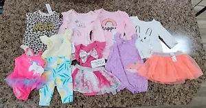 9 NEW Pieces of 0-3M & 3M Girls Clothes-Garanimals-Carter's Baby-Disney - Picture 1 of 10