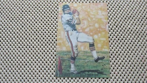 Chicago Bears Pro Football Hall Of Fame Kunstserie (von 5000) Set von 7 (2 Autos) - Bild 1 von 11