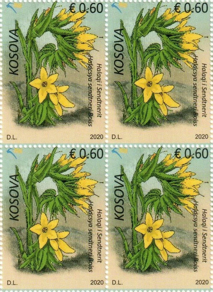 Estampillas de Kosovo 2020. Flora: Halacsya sendtneri Boiss. Bloque de 4 MNH Foto 1 de 1