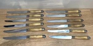 Lot 12 Anciens Couteaux de Table Service Décor Argenté Résine Effet Naturel - Imagen 1 de 13