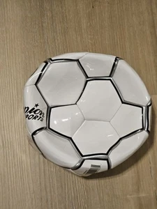 2 Brand New Champions Sports Size 5 NFHS Soccer Ball - Picture 1 of 5