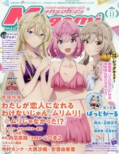 Megami Magazine November 2025 Japanese Language Magazine - Bild 1 von 1
