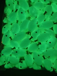 Glow Fishing Teaser Floating Head 3mm Add Silicone Skirt Bucktails Tie diy 10pcs - Picture 1 of 8