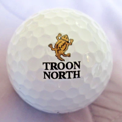TITLEIST Troon North Golf Club - Scottsdale, AZ - Logo Golf Ball - 2024 Pro V1 - Mint