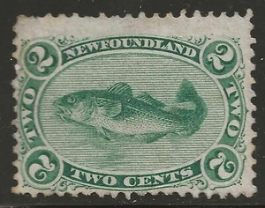 NEWFOUNDLAND #24 Unused - CODFISH - Picture 1 of 2