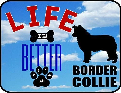 PCSCP Life is Better with a Border Collie 11.5 inch by 9 inch Laminated Dog Sign - Image 1 of 1
