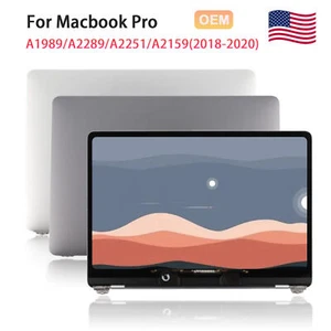 OEM For MacBook Pro A1989/A2159/A2251/A2289 13.3" LCD Display Screen Assembly - Picture 1 of 20