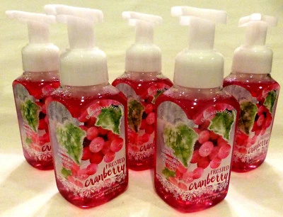 5 jabones de manos esmerilados de arándano suave espuma baño y cuerpo funciona 8,75 OZ Foto 1 de 2