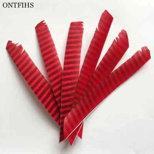 200 PCS Full length Archery Arrow Feathers Fletches Fletching RW LW - Striped - Picture 1 of 18