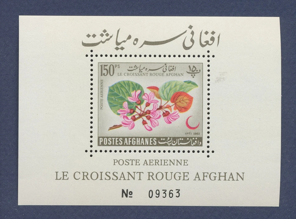 AFGHANISTAN - Scott C28a - MNH S/S - Flowers - 1962 --b - Image 1 of 1
