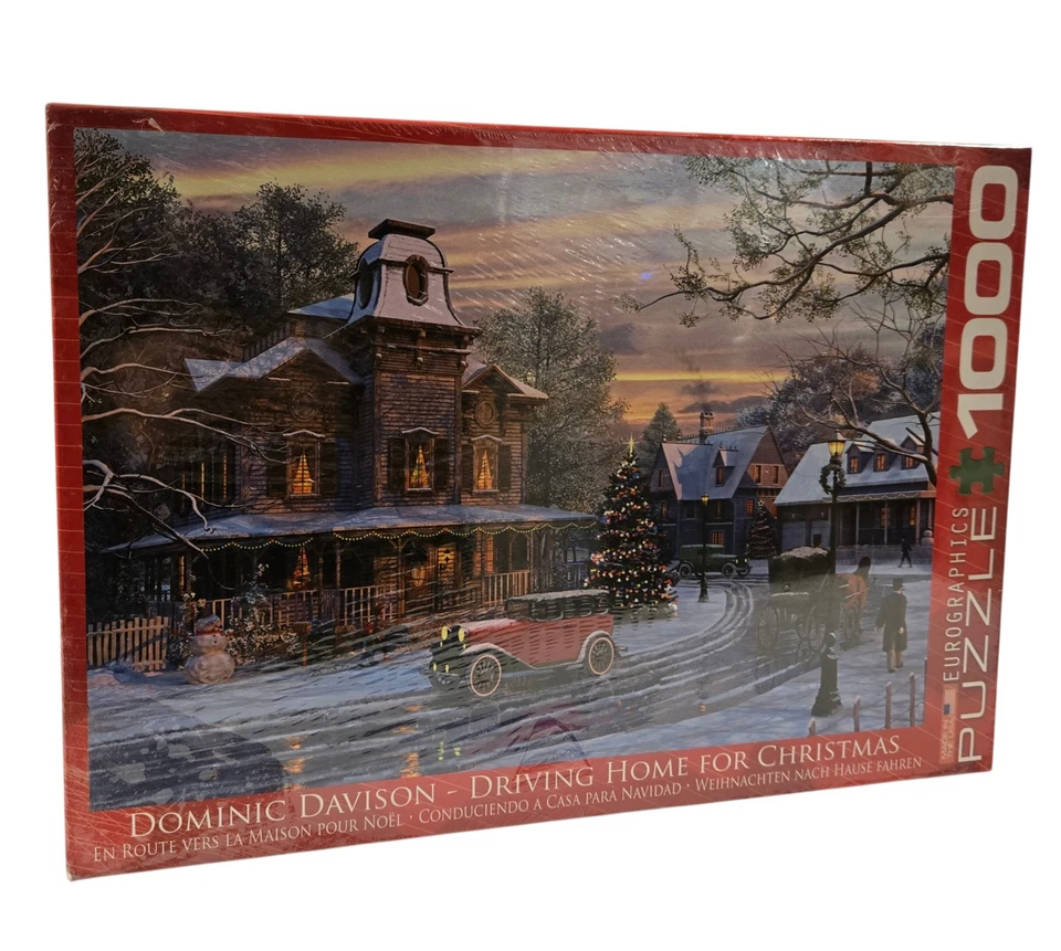 Rompecabezas de 1000 piezas Eurographics Dominic Davison conduciendo a casa para Navidad NUEVO Foto 1 de 4