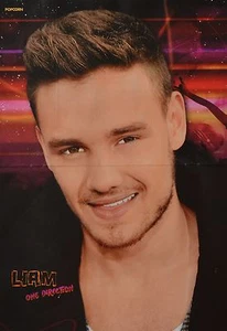 LIAM PAYNE - A3 Poster (ca. 42 x 28 cm) - One Direction Clippings Sammlung NEU - Bild 1 von 1
