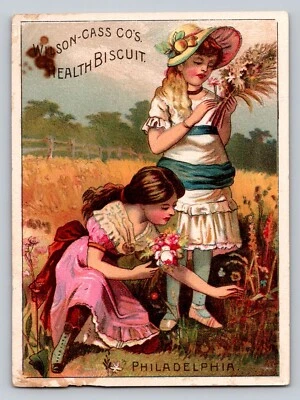 Galleta Wilson Cass Health niñas recogiendo flores P463 Foto 1 de 2