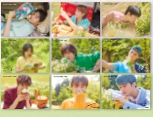 NCT127 x Nature Republic offizielle Fotokarte taeyong jaehyun taeil doyoung ect... - Bild 1 von 1