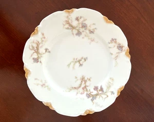 Haviland & Co Limoges Schleiger 70 Muster Frühstücksteller 8,5 Zoll Durchmesser - Bild 1 von 5