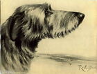 1930 Book Plate Print Dog Sketch R Ward Bink Wolfhound Drawing