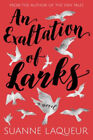An Exaltation Of Larks Paperback Laqueur Suanne