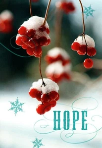 Frohe Weihnachten Hoffnung Winter Schnee Preiselbeere Preiselbeeren Grußkarte - 5er Set - Bild 1 von 3