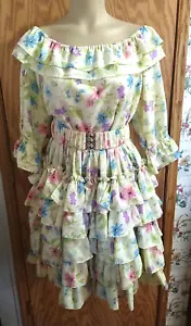 Suzis Rüschen Square Dance 3-teiliges Outfit Blumen Rock Bluse Gürtel GRÖSSE P Vintage rosa - Bild 1 von 20