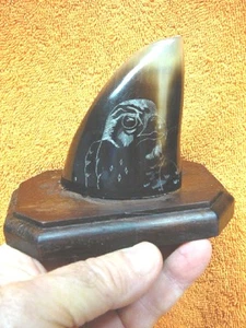 ak-moose-106) GENUINE MOOSE HOOF Falcon etched display Alaskan Eskimo art signed - Picture 1 of 2