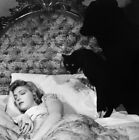 CHAT NOIR sexy coupe Anne Gwynne au lit horreur photo N&W 1941 cri reine