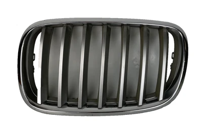 Cubierta De Parrilla De Radiador Lado Izquierdo BMW X5 Serie E70 7185223 7157687 - Imagen 1 de 4