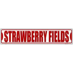 Strawberry Fields Novelty 3"x12" metal street sign plaque Home Door Garage Wall - Picture 1 of 1