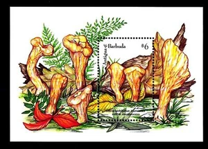 ANTIGUA & BARBUDA - BF - 1992 - Funghi - Clavariadelphus truncatus - (A) - Imagen 1 de 1