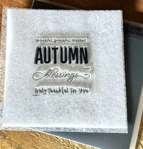 CTMH A1290 THANKFUL AUTUMN ~ Truly thankful for you, AUTUMN blessings - Picture 1 of 2