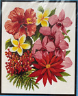 Tropical Flowers of Oz Artecy Cross Stitch Pattern #10167 -23