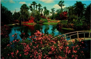 Brücke und Wasserstraßen ZYPRESSENGÄRTEN Florida FL Postkarte - Bild 1 von 2