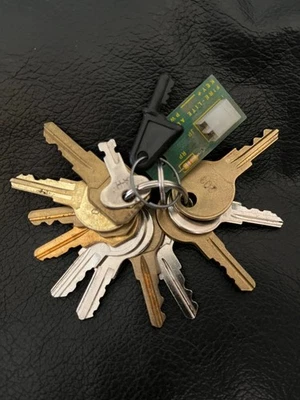 Master Fire Alarm Tech Keys 14 Keys Total Notifier Simplex Bosch SK Firelit More