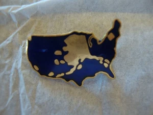Vintage USA MAP with ALASKA inside it American Gold Tone Lapel Pin - Picture 1 of 2
