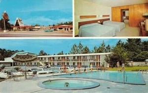 Bryant's Motel Statesboro, Georgia Schwimmbad am Straßenrand 1960er Vintage Postkarte - Bild 1 von 1