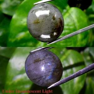 Big! 38.96ct Oval Cabochon Natural Rainbow With Luster Labradorite Gemstone - Picture 1 of 6