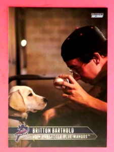 2025 Choice, Pensacola Blue Wahoos, Video Coach - BRITTON BARTHOLD - Picture 1 of 1