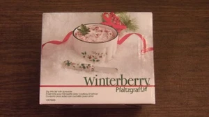 NUEVO EN CAJA Pfaltzgraff Winterberry Dip Mix Set con esparcidor 12 oz patrón estacional - Imagen 1 de 10