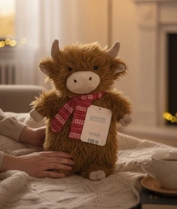 Shaggy Highland Cow. Neuheit Wärmflasche & Bezug - Bild 1 von 9