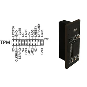 Module de Sécurité TPM1.2 LPC 20 Pins pour ASUS MSI ASROCK GIGABYTE - Photo 1/6