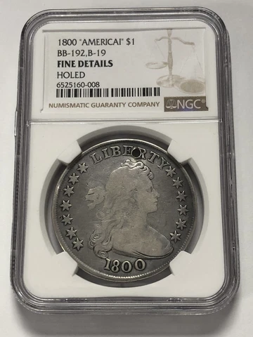 1800 $1 Draped Bust Silver Dollar Holed - NGC Fine Details BB-192 / B-19 Cover