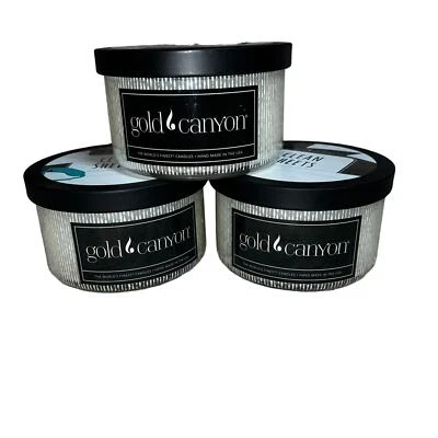 Hojas limpias de velas Gold Canyon - paquete de 3 velas de 10 oz difíciles de encontrar Foto 1 de 3