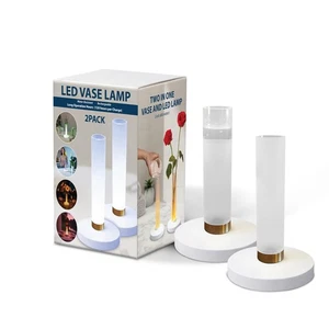 Wisely 2PK Vaso Ricaricabile LED, Decorazione Casa Ringraziamento Natale - Ricarica... - Foto 1 di 7