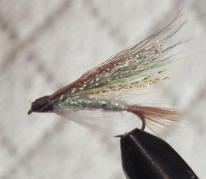 Shiner Streamers  Size 10 - 1 Dozen Wet Trout Fly F790 - Picture 1 of 1