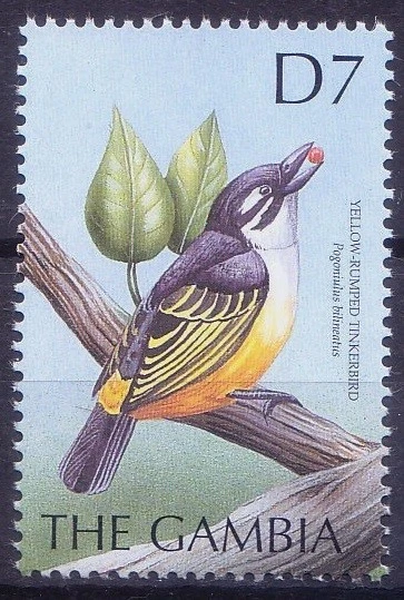 Tinkerbird de grupa amarilla, Pogoniulus bilineatus, aves, Gambia 2000 MNH  Foto 1 de 1