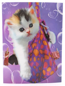 Kitten in Satchel 3D Lenticular Poster Hard Backed 12 x 16 Print - Picture 1 of 1