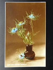 Flower & Plant Theme LOVE IN THE MIST c1920s RP Postcard by Judges 10498 - Picture 1 of 2