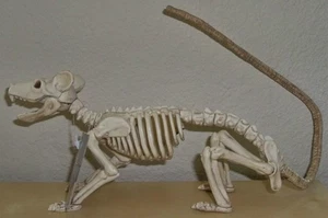RAT SKELETON SPOOKY BONEZ DEAD ANIMAL PROP DECORATION SE18213 - Picture 1 of 3