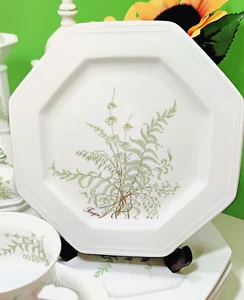 Villeroy & Boch Gallo Leonardo Fougere Design Kuchenteller Sommerfarn 1a Zustand - Bild 1 von 5