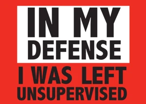 IN MY DEFENSE Divertido Imán de Nevera Cocina Decoración del Hogar - 3.5" x 2.5" Hecho en EE. UU. - Imagen 1 de 6